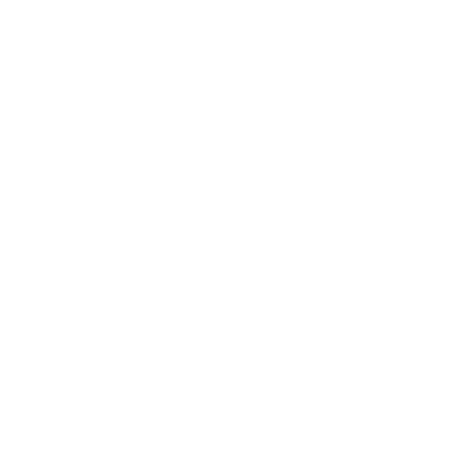 Fly Gym